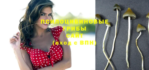 мяу мяу мука Абдулино